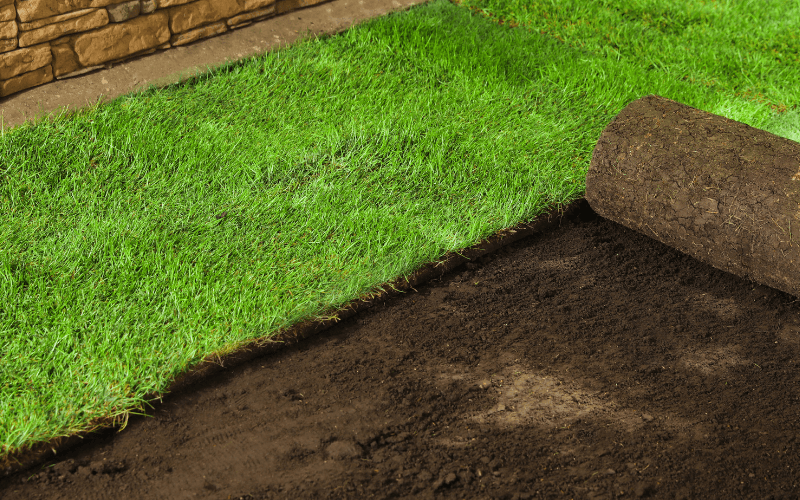 Sod Installation Services in Kennett Square, PA